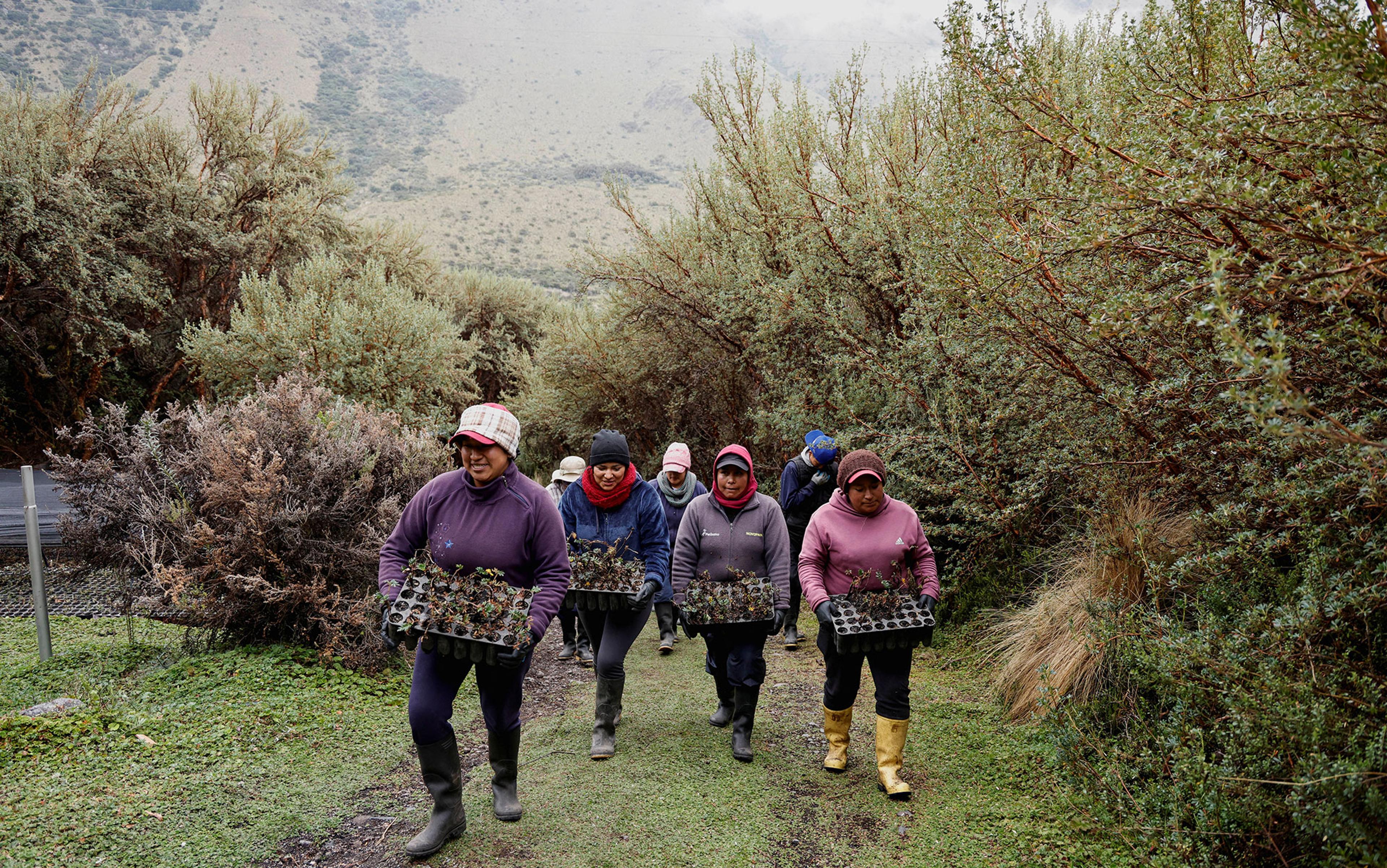 Photo of people walking outdoors carrying trays of plants, surrounded by bushes and greenery.