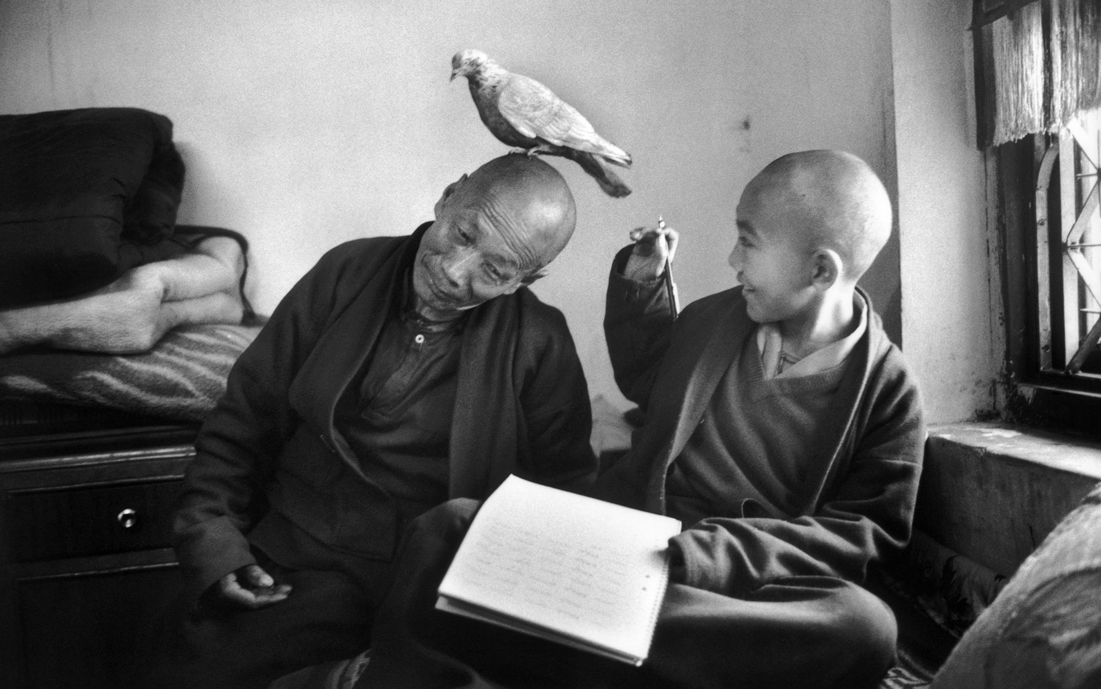 Black-and-white photo of an elderly monk with a pigeon on his head and a young monk holding a book and smiling at him.