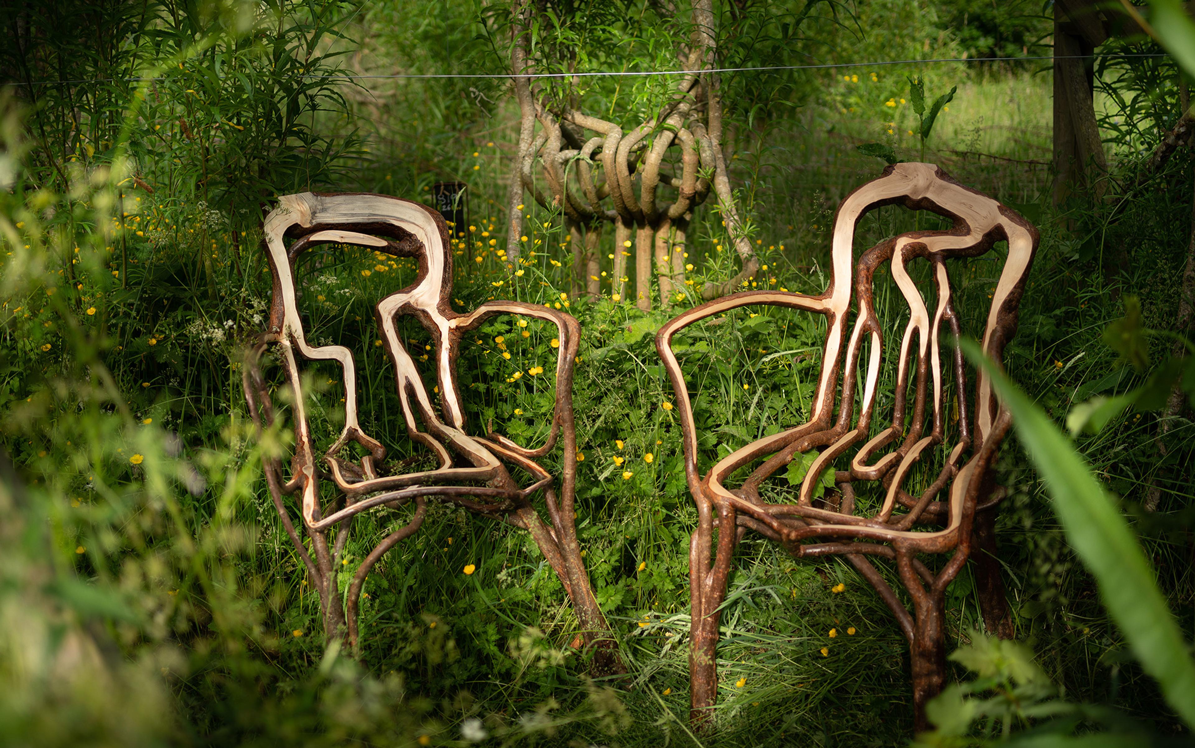 Two wooden chairs with a unique, organic design stand in a lush garden surrounded by green plants and yellow flowers. A small tree in the background appears to be pruned in an artistic manner, enhancing the natural aesthetic.