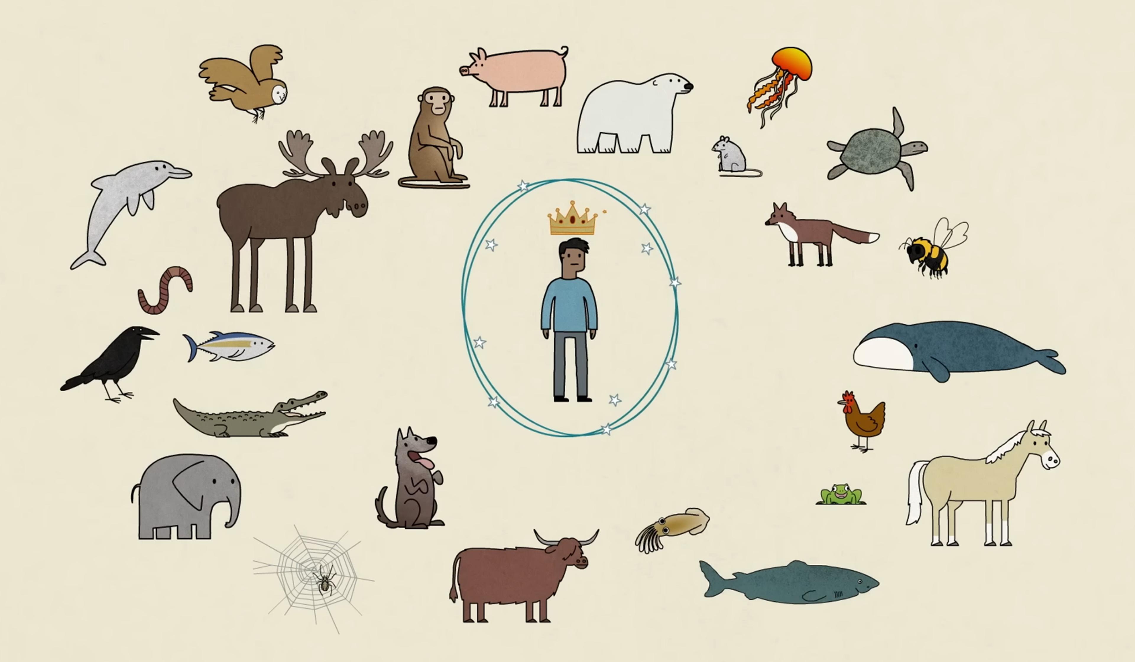 Illustration of various animals surrounding a human figure wearing a crown, including a whale, dolphin, fox, owl, and more.