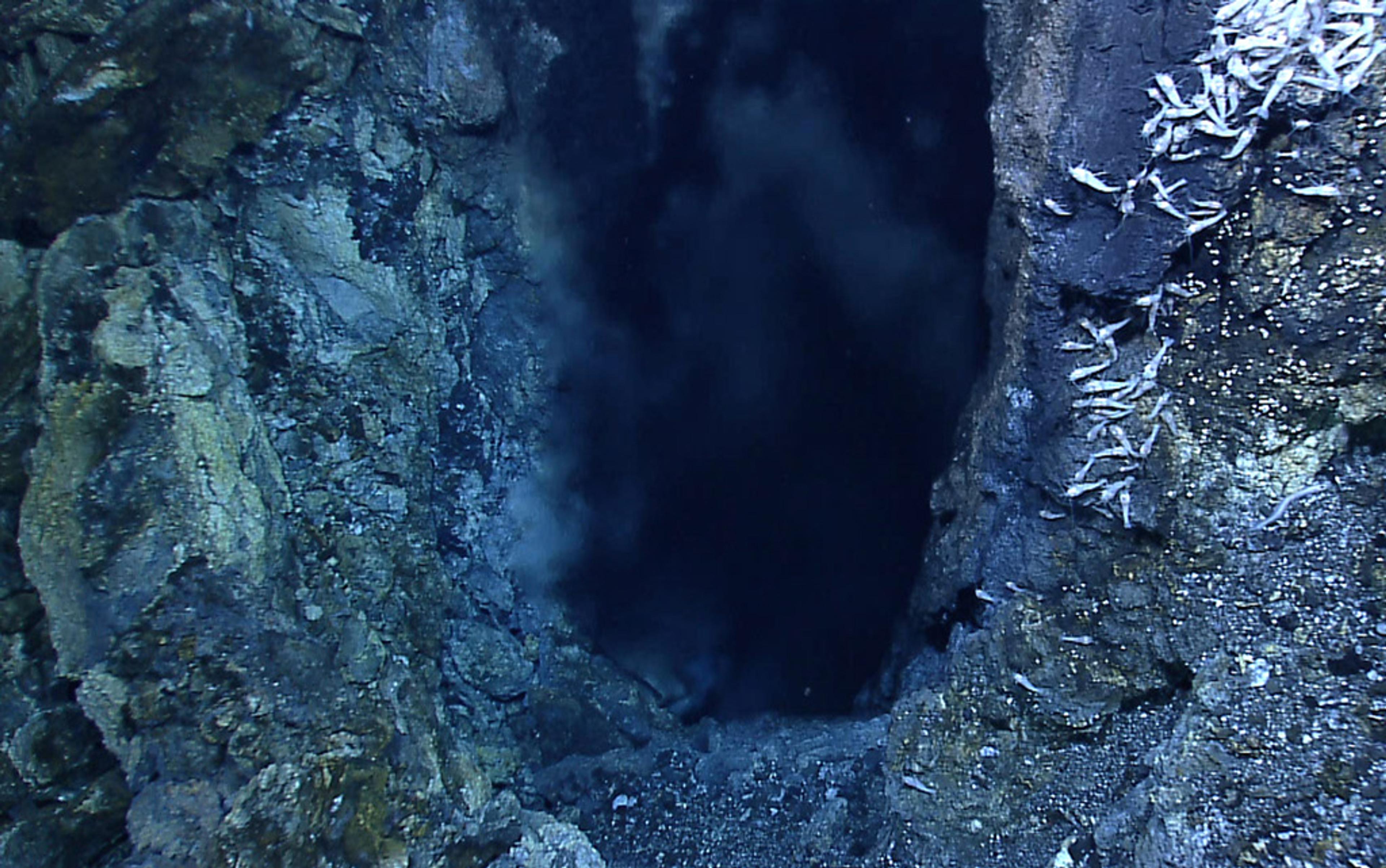 A deep-sea hydrothermal vent emitting dark smoke-like substance with small white organisms attached to surrounding rocks.