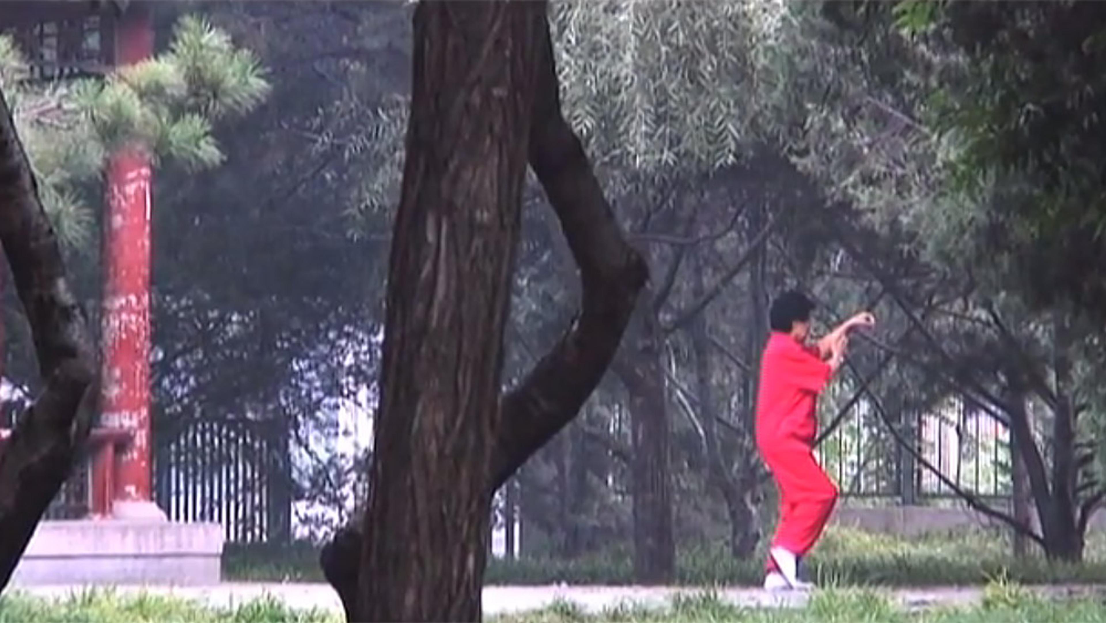 A person in red clothing practising martial arts in a park with trees and a red pillar in the background.
