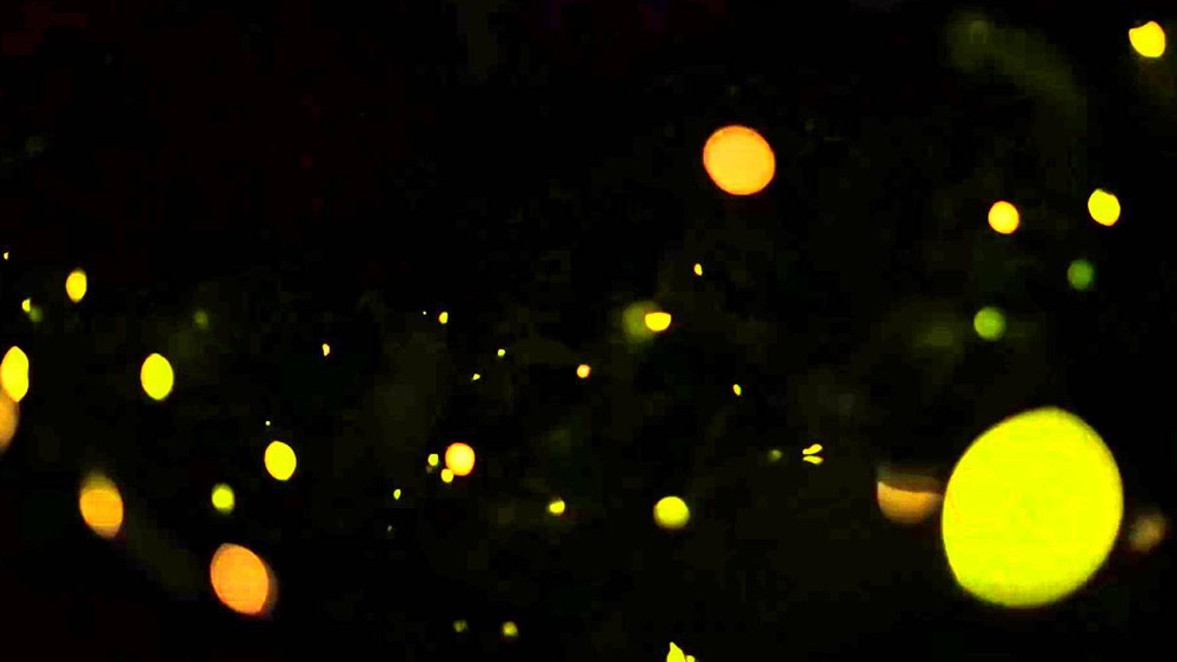 Glowing yellow and orange light orbs against a dark background, resembling fireflies or festive lights in the night.