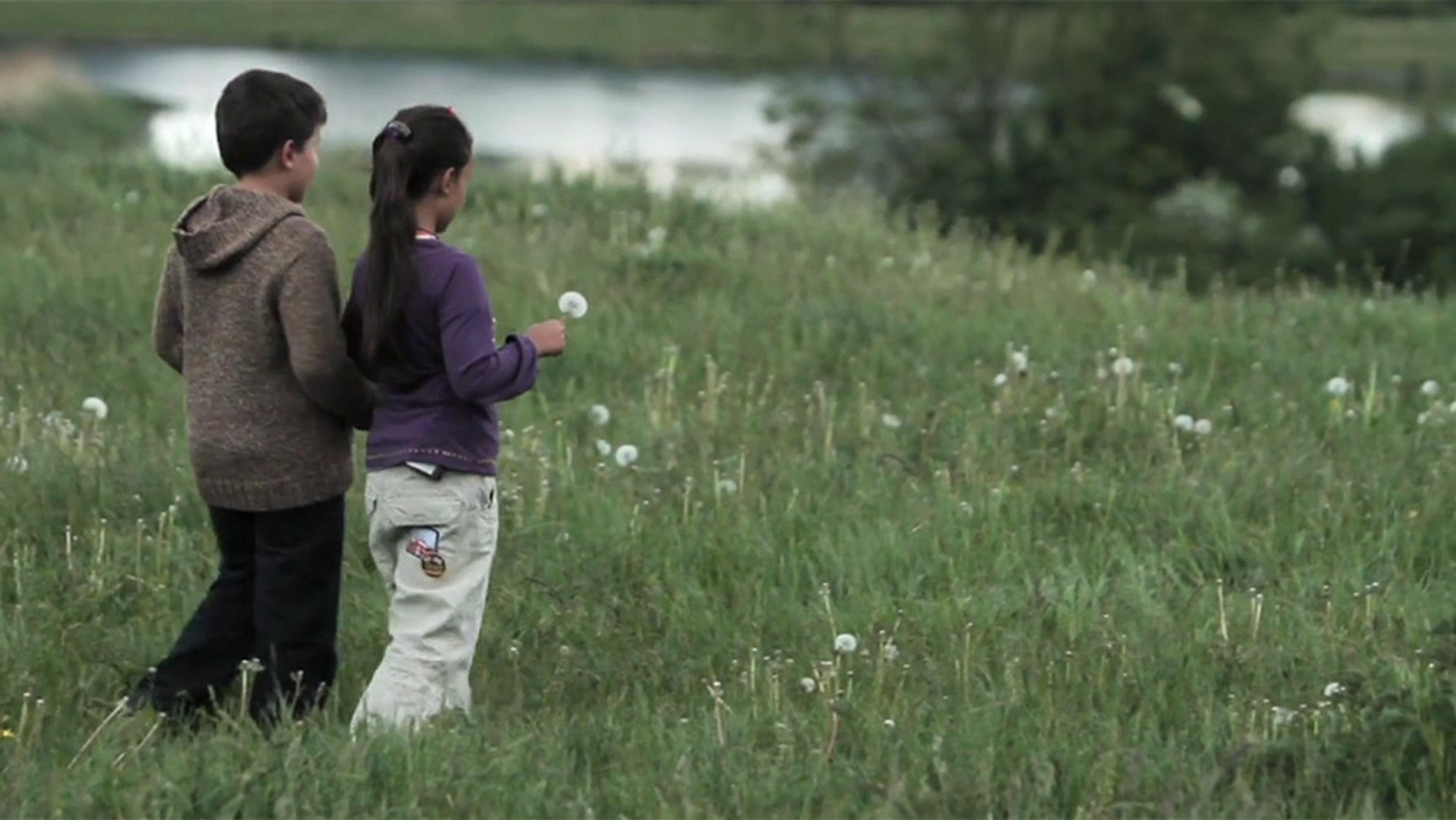 A boy and girl walking on a grassy field, holding dandelions, with a body of water and trees in the background.